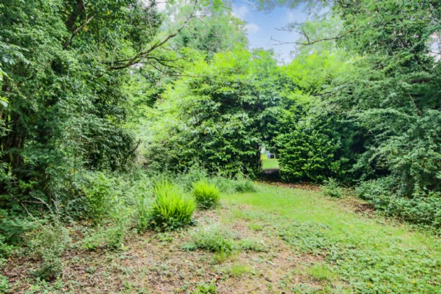 Photo of The Lodge, Granny, Ballinameen,, Boyle,, Co. Roscommon, F52 R822
