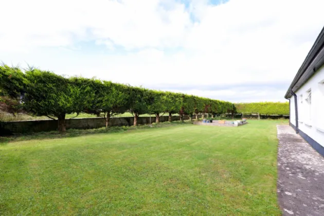 Photo of Mirah, Turloughmore, Co. Galway, H65 WK28