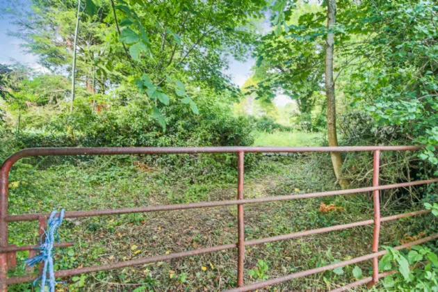 Photo of Quay Street, Drumsna, Co Leitrim, N41 CX31