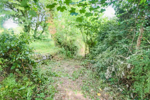 Photo of Quay Street, Drumsna, Co Leitrim, N41 CX31