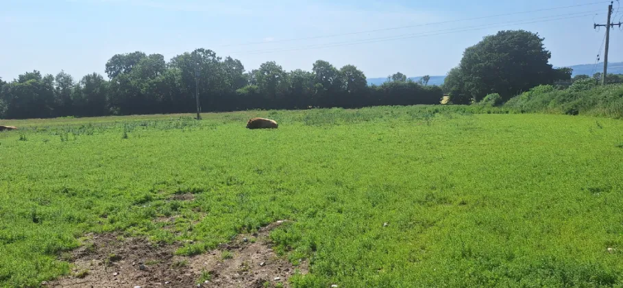 Photo of .75 Acre Site, Kilcarrig,, Bagenalstown,, Co. Carlow