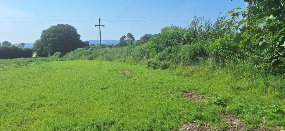 Photo of .75 Acre Site, Kilcarrig,, Bagenalstown,, Co. Carlow