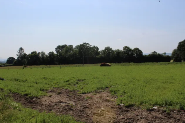 Photo of .75 Acre Site, Kilcarrig,, Bagenalstown,, Co. Carlow