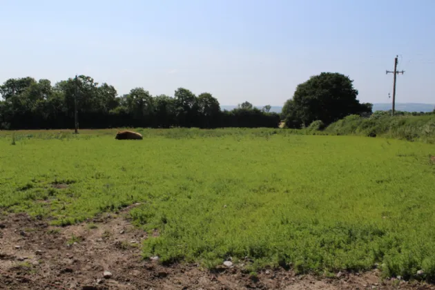 Photo of .75 Acre Site, Kilcarrig,, Bagenalstown,, Co. Carlow