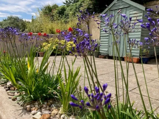 Photo of 20 Southbay Point, Rosslare Strand, Rosslare, Co Wexford, Y35X268