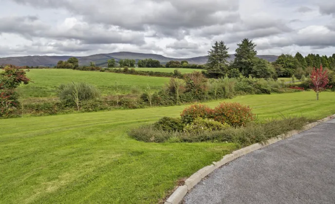 Photo of Lackendarra Larches, Ballinamult, Dungarvan, Co Waterford, E91V5W7