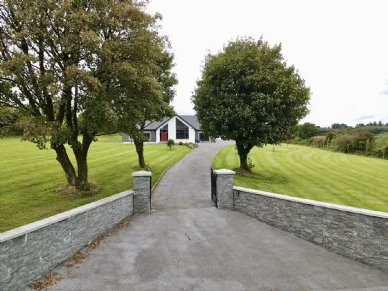 Photo of Lackendarra Larches, Ballinamult, Dungarvan, Co Waterford, E91V5W7