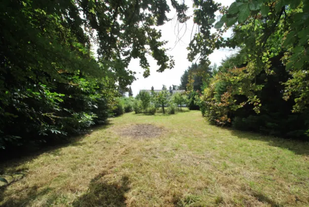 Photo of Cloonagh, Golden Grove, Roscrea, Co Tipperary, E53 FX61