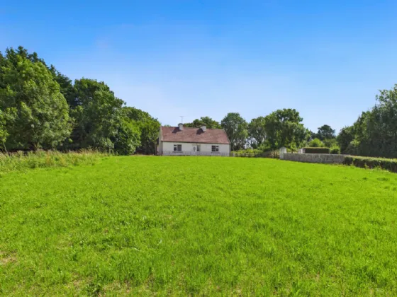 Photo of Cloonmoylan, Ballyshrule, Portumna, Co. Galway, H53 EY79