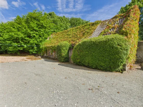 Photo of Cloonmoylan, Ballyshrule, Portumna, Co. Galway, H53 EY79