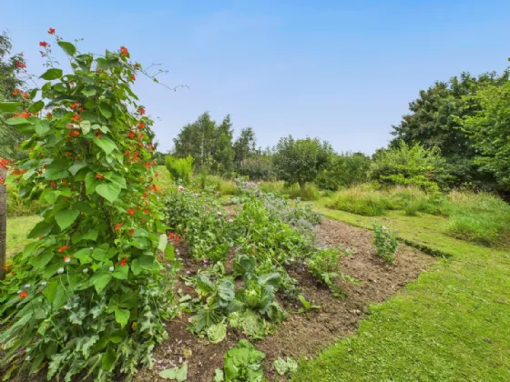 Photo of Ryehill, Ballinderry, Nenagh, Co. Tipperary, E45PV22