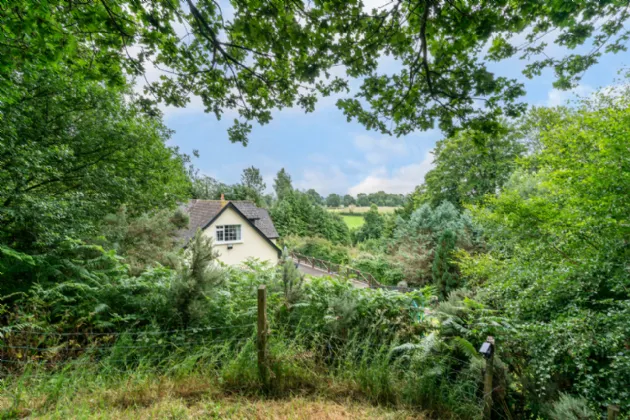 Photo of Beech Drive, Baltinglass West, Baltinglass, Co Wicklow, W91 P21F