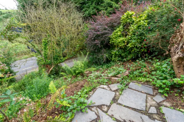 Photo of Beech Drive, Baltinglass West, Baltinglass, Co Wicklow, W91 P21F