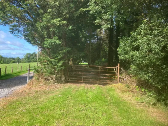 Photo of Ballinaguile, Kiltegan, Co. Wicklow, Chalet On 2.569 Acres, W91 T3F1