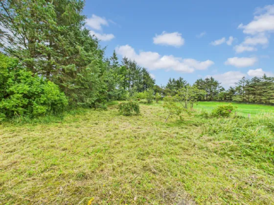 Photo of Shanaway East, Miltown Malbay, Co. Clare, V95 H7PD