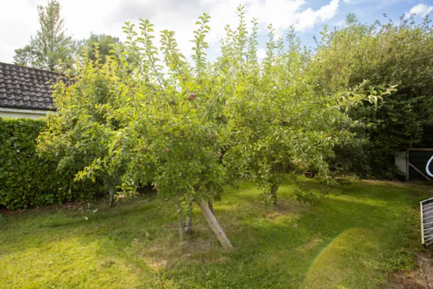 Photo of Birdhaven Cottage, Dublin Road, Milltownpass, Co. Westmeath., N91H7K8