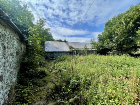 Photo of Site With Dwelling & Outbuildings, Ballyvooney, Stradbally, Co Waterford