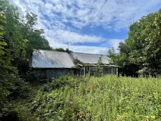 Photo of Site With Dwelling & Outbuildings, Ballyvooney, Stradbally, Co Waterford