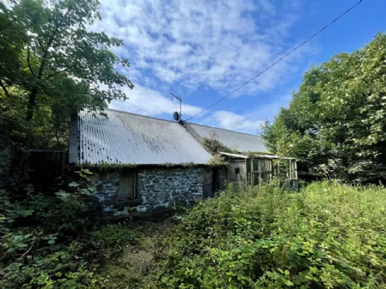 Photo of Site With Dwelling & Outbuildings, Ballyvooney, Stradbally, Co Waterford