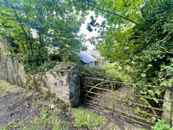 Photo of Site With Dwelling & Outbuildings, Ballyvooney, Stradbally, Co Waterford