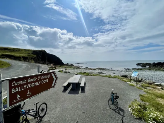 Photo of Site With Dwelling & Outbuildings, Ballyvooney, Stradbally, Co Waterford