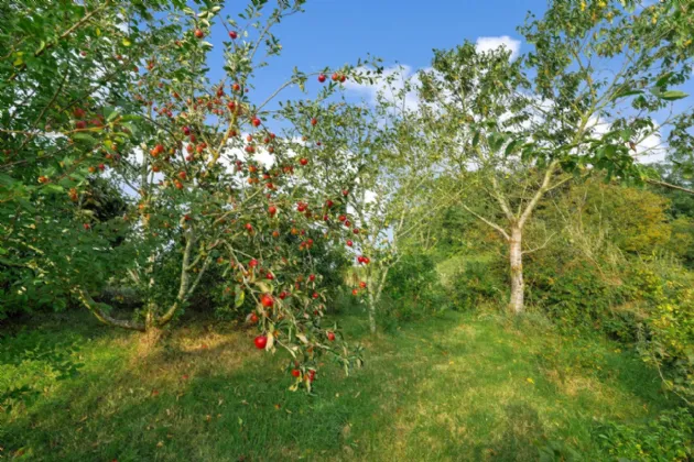Photo of Raclaghy, Mountnugent, Co. Cavan, A82 A704