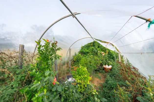 Photo of Raclaghy, Mountnugent, Co. Cavan, A82 A704