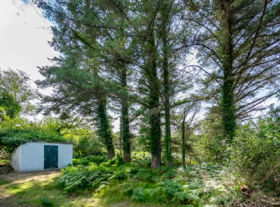 Photo of Dirreenacallaugh, Dawros, Kenmare, Co. Kerry, V93 C7P0