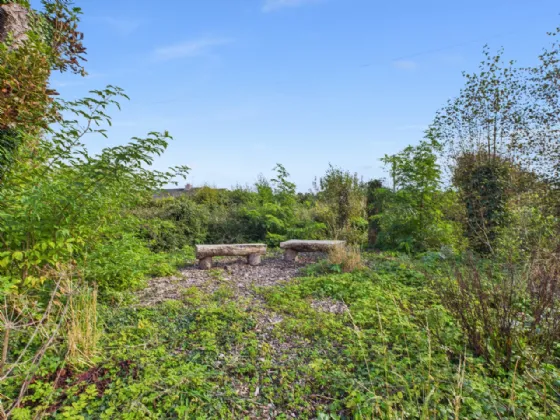 Photo of Sheeaun, Boula, Portumna, Co. Galway, H53 H2N1