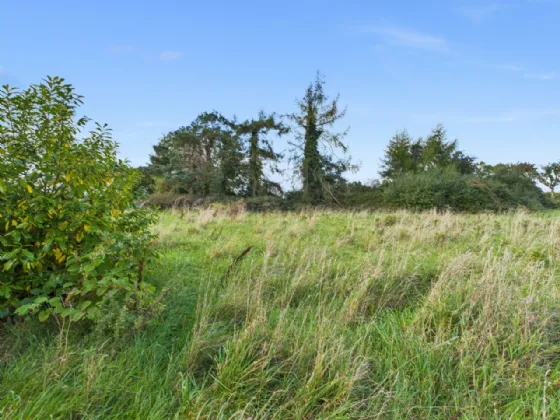 Photo of Sheeaun, Boula, Portumna, Co. Galway, H53 H2N1