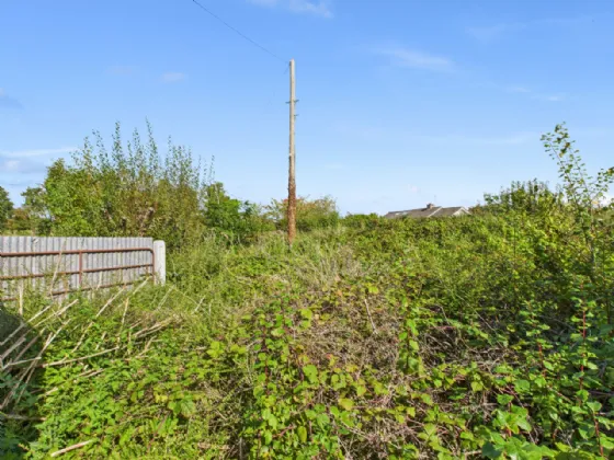 Photo of Sheeaun, Boula, Portumna, Co. Galway, H53 H2N1