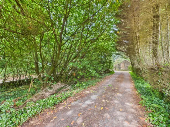 Photo of Hilltop, Killoteran, Co. Waterford, X91 A6N9