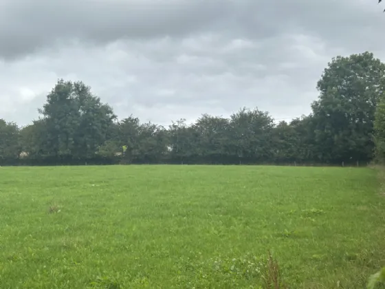 Photo of 0.75 Acre Site, Carrigaunroe, Shanballmore, Co. Cork