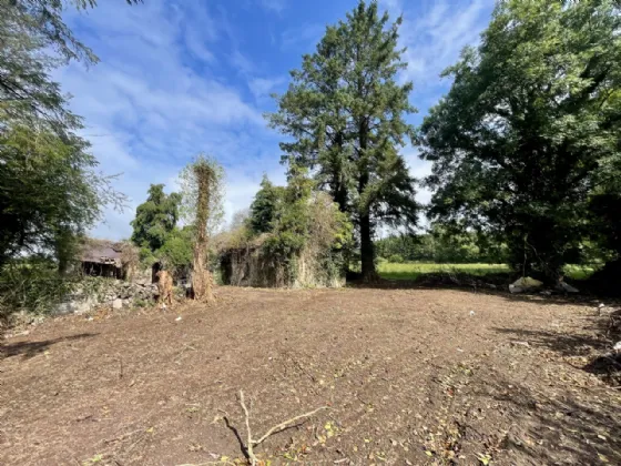 Photo of Site With Derelict Cottage, Knockroe, Colligan, Dungarvan, Co Waterford