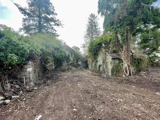 Photo of Site With Derelict Cottage, Knockroe, Colligan, Dungarvan, Co Waterford
