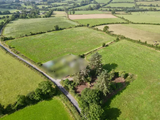 Photo of Land At Knockroe (11.8 Acres) Approx., Colligan, Dungarvan, Co Waterford