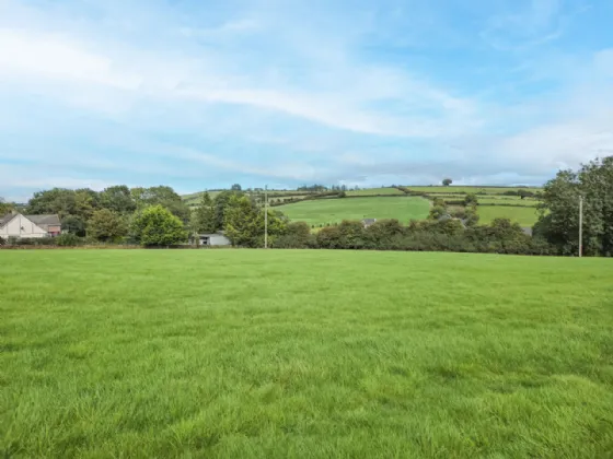 Photo of Garrane / Roan, Killenaule, Thurles, Co. Tipperary, E41 EK68