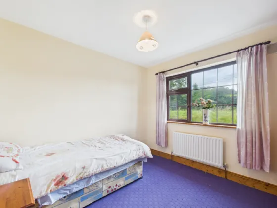 Photo of Garrane / Roan, Killenaule, Thurles, Co. Tipperary, E41 EK68