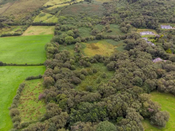 Photo of Glannagilliagh, Caragh Lake, Co.Kerry