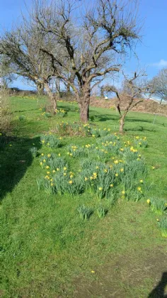 Photo of Ballinacor East, Kilbride, Co Wicklow, A67 HD73