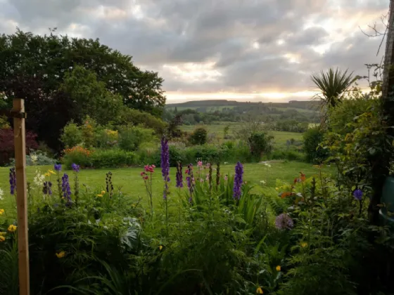 Photo of Rockwood, Lisheen Road, Blessington, Manor Kilbride, Co Wicklow, W91 P2D2