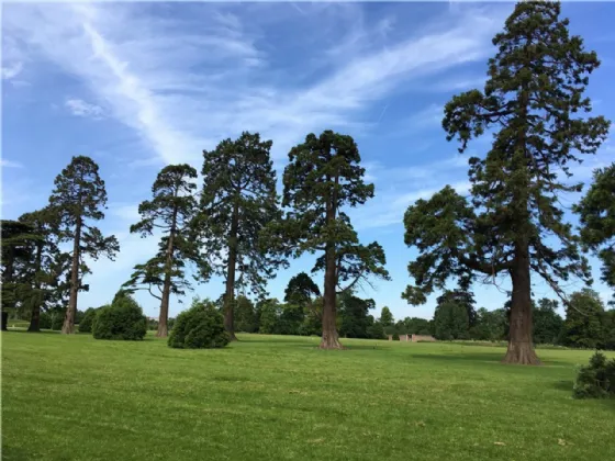 Photo of 26 The Alders, Carrington Park, Santry, Dublin 9, D09 E6X7