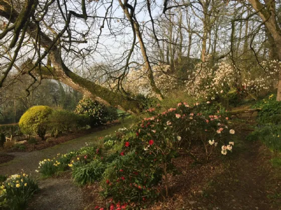 Photo of Flowerhill House, Ballyduff, Lismore, Co Waterford, P51E2Y9