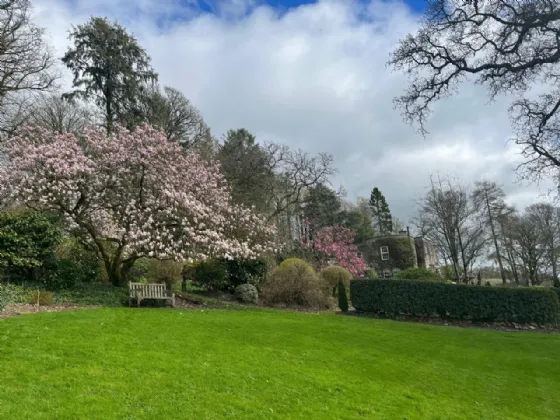 Photo of Flowerhill House, Ballyduff, Lismore, Co Waterford, P51E2Y9