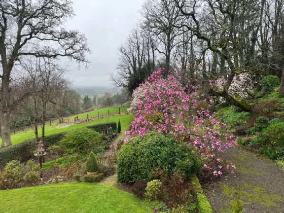 Photo of Flowerhill House, Ballyduff, Lismore, Co Waterford, P51E2Y9