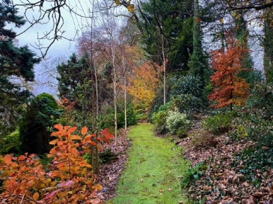 Photo of Flowerhill House, Ballyduff, Lismore, Co Waterford, P51E2Y9