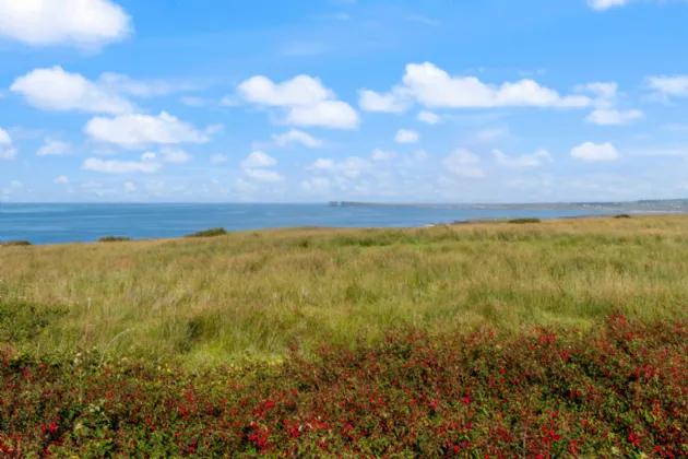 Photo of Muingelly, Ballycastle, Co. Mayo, F26 PF67