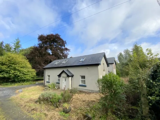 Photo of Ben, Fore, Co. Westmeath, N91 A582