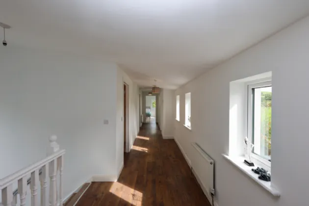 Photo of Ben, Fore, Co. Westmeath, N91 A582