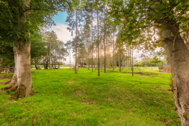 Photo of 5 Lyreen Drive, Mariavilla, Maynooth, Co. Kildare, W23 PDV7